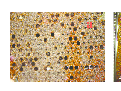 瑞普特蒸汽水板式换热器造纸厂余热回收用板式换热器